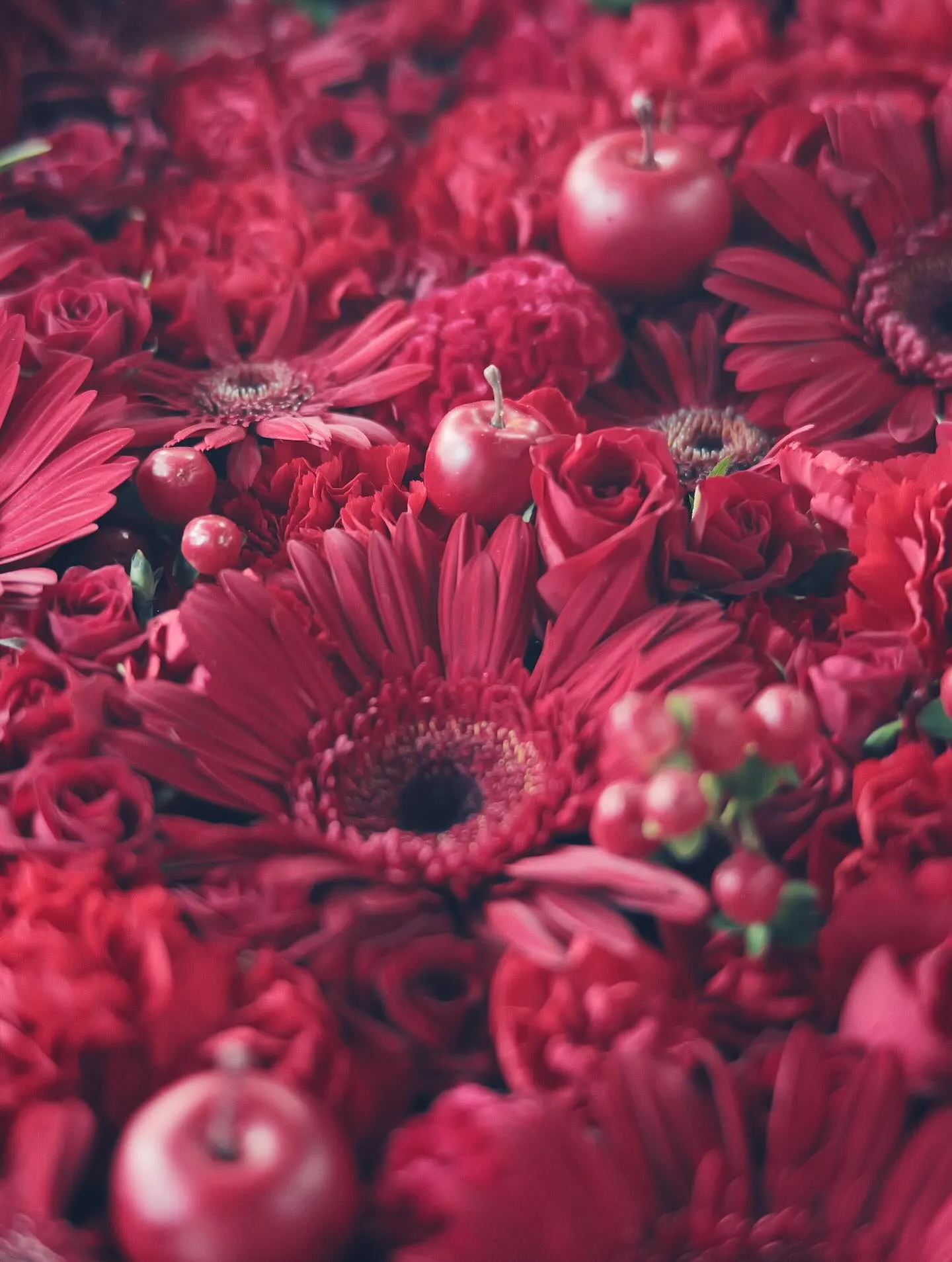 本日10月4日をもちまして、Re:pirka-hair la...