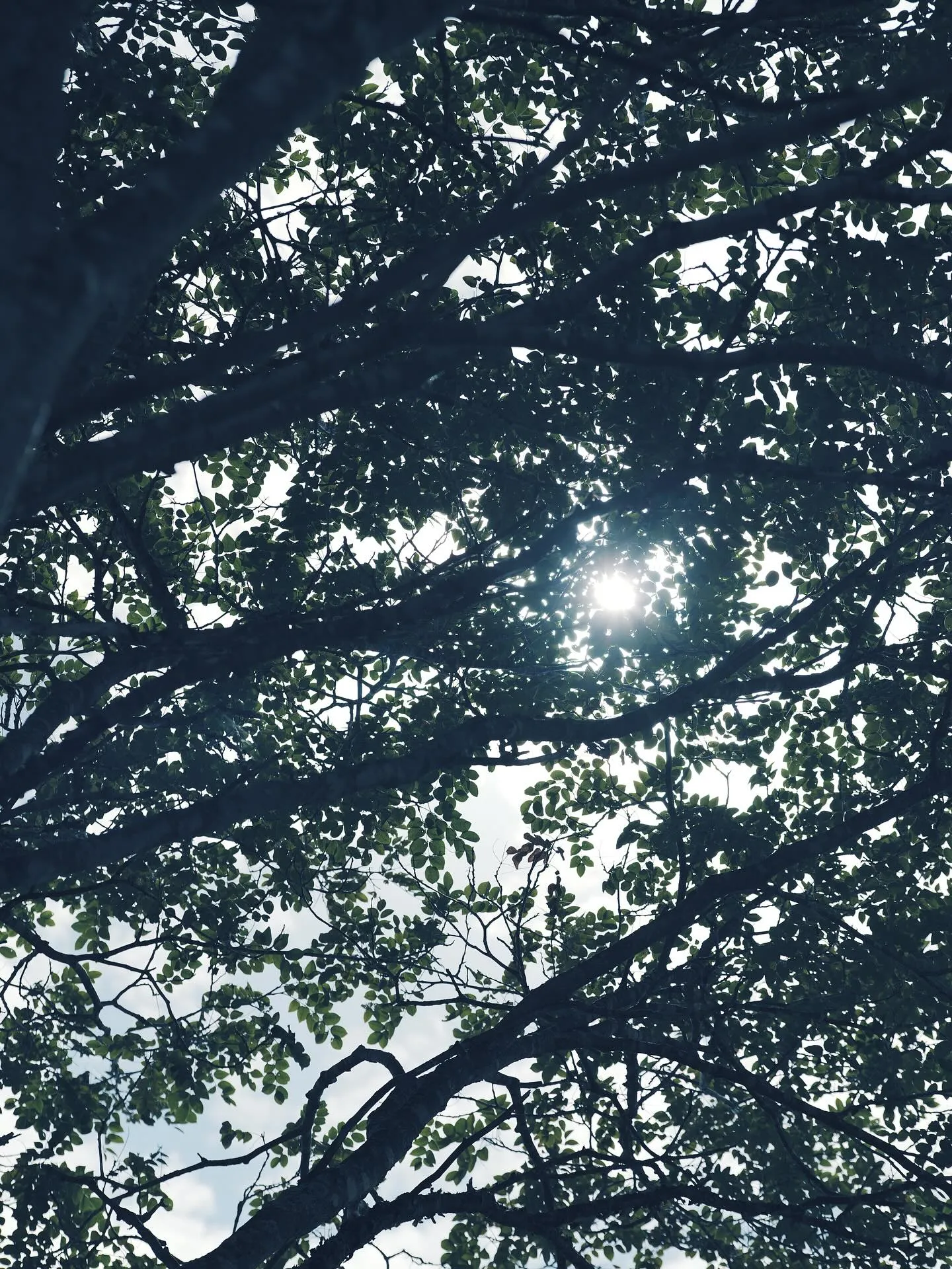 本日10月4日をもちまして、Re:pirka-hair la...